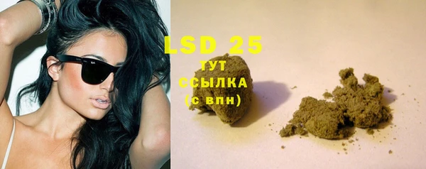 спайс Богородицк