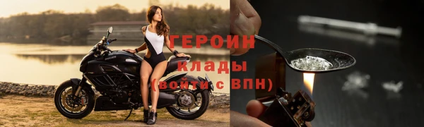 гидра Богданович