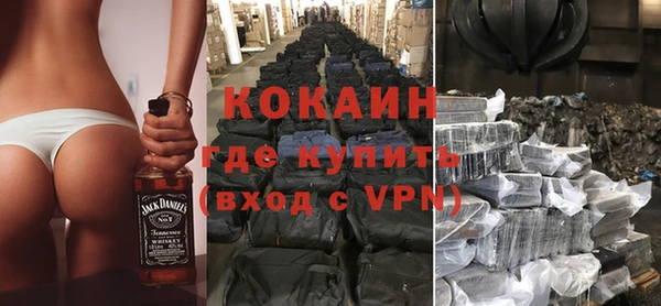 гидра Богданович