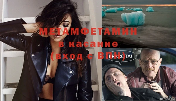 гидра Богданович