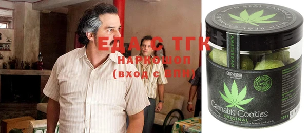 гидра Богданович