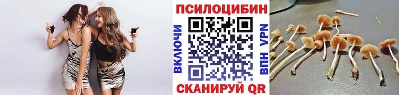 наркошоп  Благодарный  Псилоцибиновые грибы Magic Shrooms 